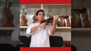 Violino Alemão Antigo KARL Hofner- Oliveira Musical