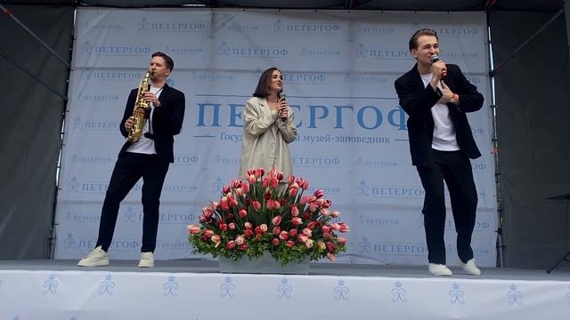 Летящей походкой (Юрий Антонов). Eleganza Band