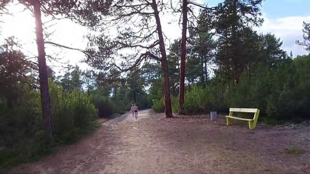 Озеро Байкал, водолечебница Хакусы. Поездка семьёй. смотреть онлайн