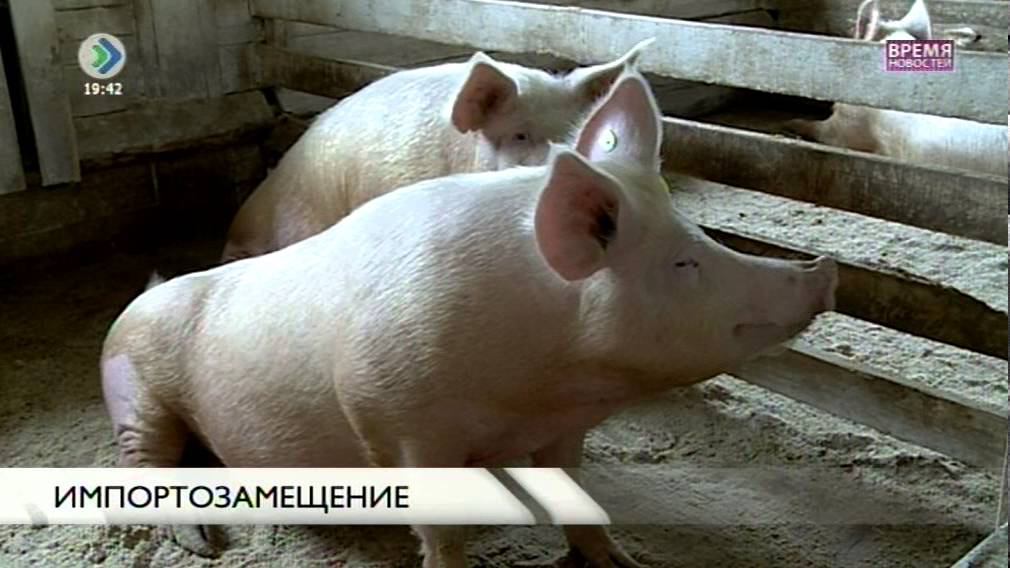 Импортозамещение. 28 марта 2016