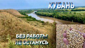 КАМАЗ на Кубани без работы НЕ останется