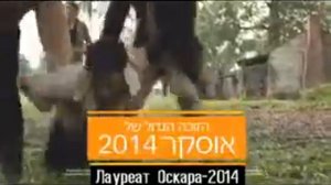 "12 лет рабства". Мощная драма, основанная на реальных событиях сейчас в видеотеке VOD!