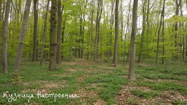 8 апреля Лазарева Суббота. Что нельзя делать 8 апреля. Народные традиции и приметы.