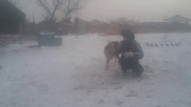 Наша семья смотреть онлайн