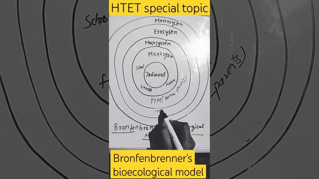 Bronfenbrenner's bioecological model#htet#prt#tgt#pgt#htet2023