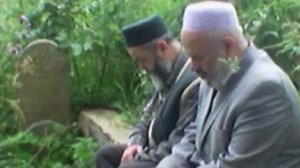 Шейхи параул