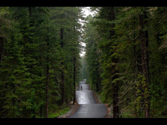 тётя Альбина - Кара урман