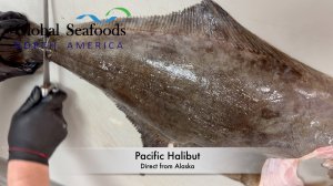 Pacifc Halibut