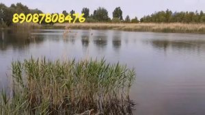 прикормочный кораблик на Старый Оскол. Комплектация автопилот+ эхолот toslon tf500