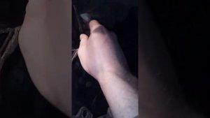 Мазда трибьют: Замена стабилизатора