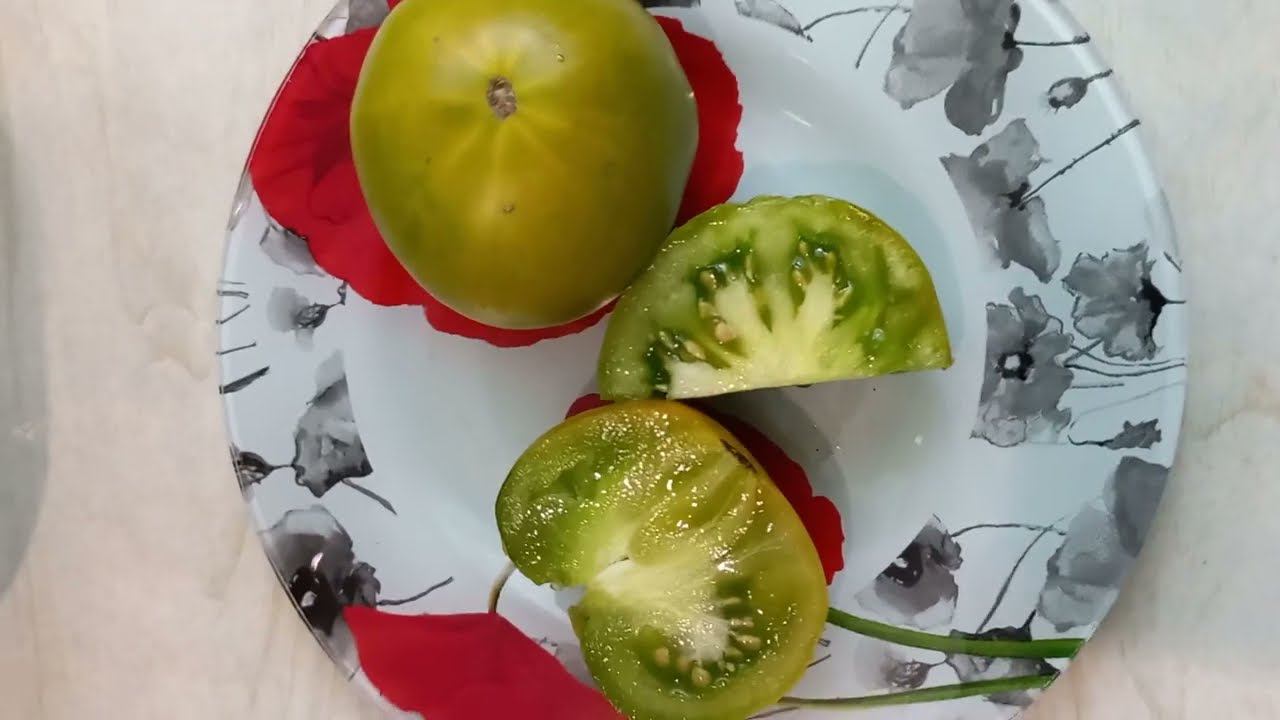 ТОМАТ СИБИРСКИЙ КИВИ СОВСЕМ НЕ КИВИ . ОТЗЫВ О ТОМАТЕ СИБИРСКИЙ КИВИ смотреть онлайн