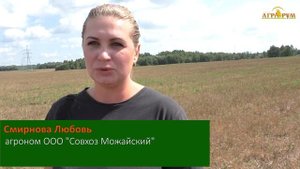 Защита растений от сорняков и грызунов: вьюнок, мыши / Семинар по NO-till в Подмосковье.