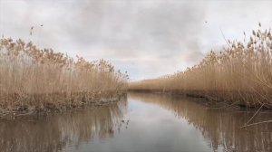 Рыбалка в Астрахани. Река кипит от рыбы Ловим рыбу сачком. Весна 2020 Мумра,  рыбацкая база 777-999