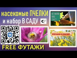 Футажи ПЧЕЛКИ и набор В САДУ для креативов