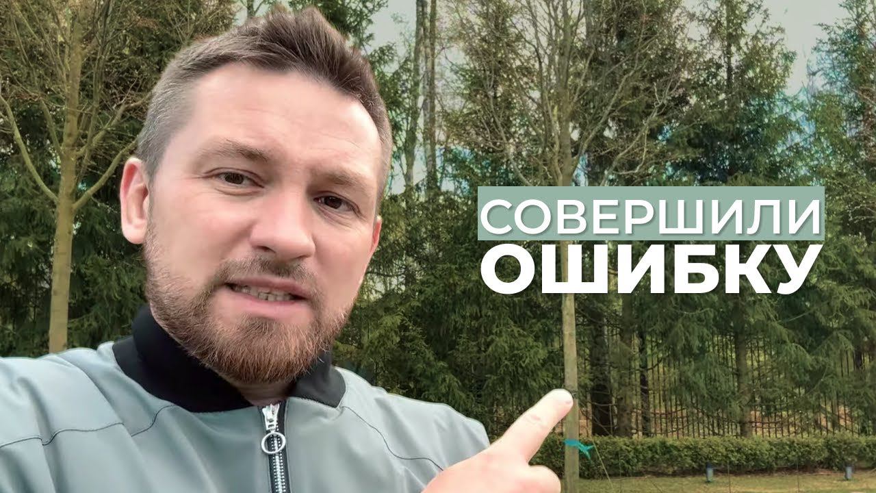 Как правильно закрепить посаженные деревья? #аллея #липа #крупномеры #рястяжки