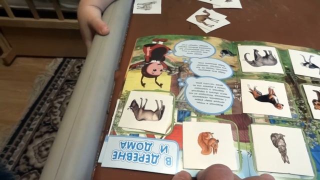 Детские развивающие игры - Развивающие картинки - Видео для детей