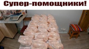 Ну просто супер-помощники от "МясТехМаш" и места стало не хватать! Жизнь в деревне!