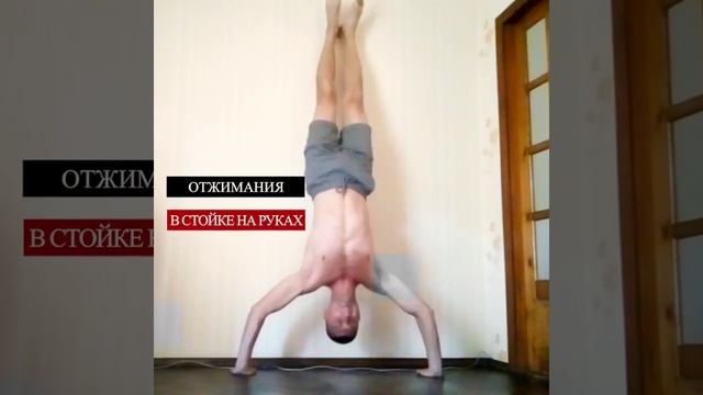 Отжимания в стойке на руках смотреть онлайн