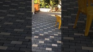 Как правильно уложить тротуарную плитку Правильная укладка тротуарной