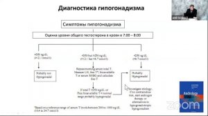 Гипогонадизм или андрогенодефицит?