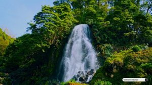 Коран сура Аль-Ала видео 4к Миншави -Minshawiy