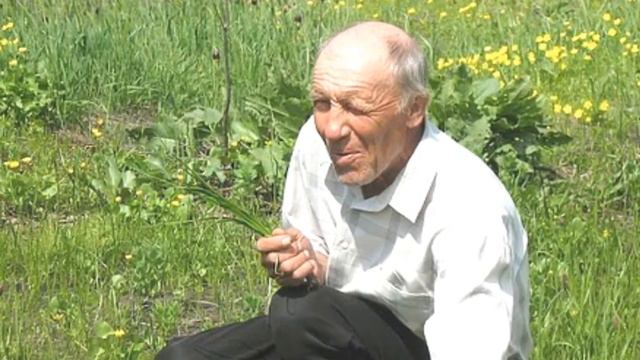 Семейный альбом смотреть онлайн