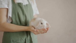 Успокаивающая музыка для малышей. СОН ЗА 5 МИНУТ. Милые кролики укладывают спать.