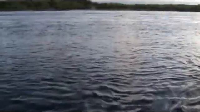 Kamchatka fishing on Big river