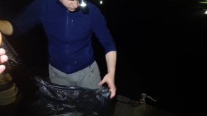 карпфишинг, рыбалка