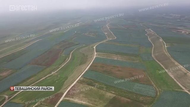 Порядка 75 млн рублей направят на субсидирование сельхозпроизводителей
