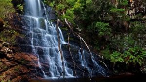 мудрая книга