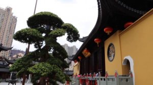 Шанхай: Храм Нефритового Будды/Shanghai: Jade Buddha Temple