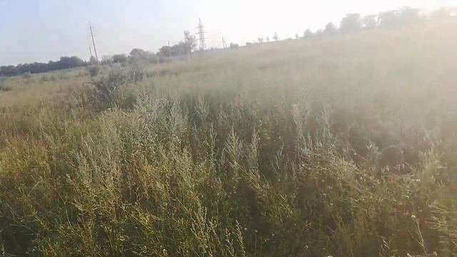 Поиск металла, с металлоискателем Quest X5. Странные находки в поле.