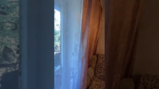 Комитетский лес 7 смотреть онлайн