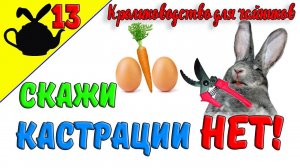 СКАЖИ КАСТРАЦИИ - НЕТ! / Кролиководство для чайников 13