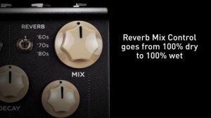 Strymon Flint V.2 – Tremolo & Reverb – Intro