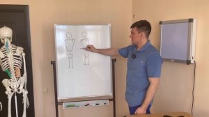 Как определить какие делать упражнения. Тест для определения причины искривления позвоночника и таз