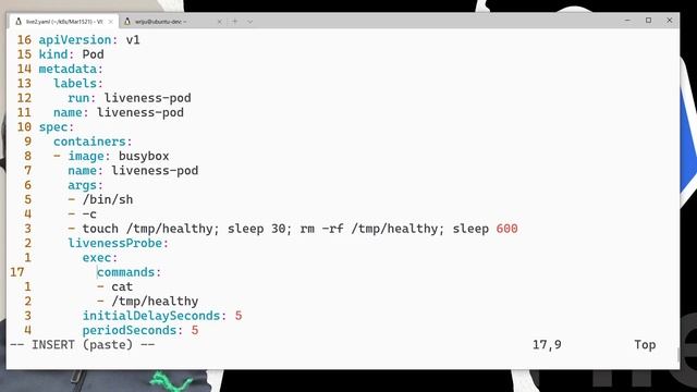 Kubernetes CKAD Tips 17 - Pods Liveness Probe смотреть онлайн