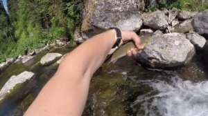 Секреты ловли хариуса на верховую мушку в горном ручье