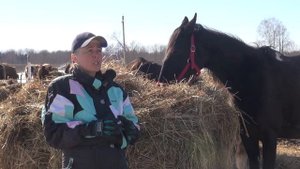 Кобыла отказывается кормить новорожденного  жеребёнка. Как быть?