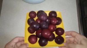 ЗАЛИВНОЙ ПИРОГ СО СЛИВАМИ!!! ПРОСТО И ВКУСНО!!!