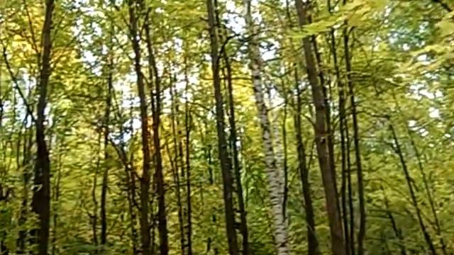 Тихое прощание осени! смотреть онлайн