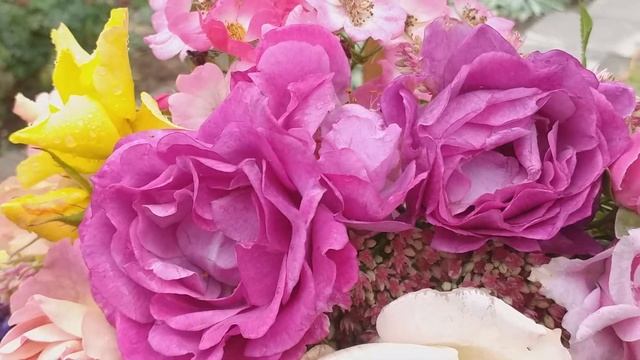 Сочетания... Блю Иден + 8 роз. И компаньоны к ним смотреть онлайн