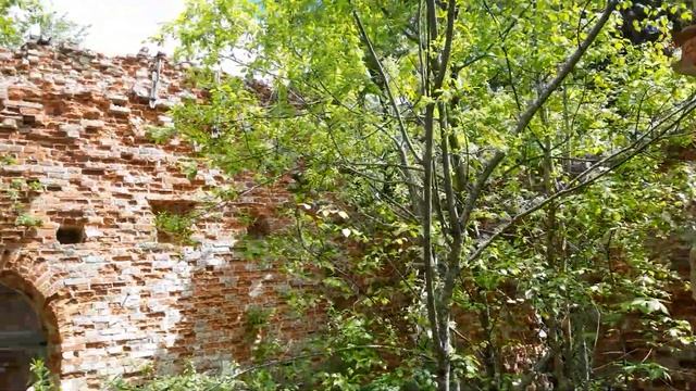 Урочище Лобно. Одна из самых высоких возвышенностей Псковской области. смотреть онлайн