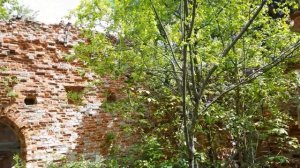 Урочище Лобно. Одна из самых высоких возвышенностей Псковской области.