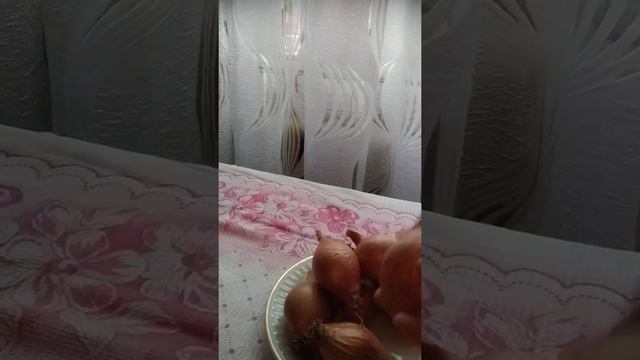 Сорта лука Шалота/Мои 25 соток смотреть онлайн