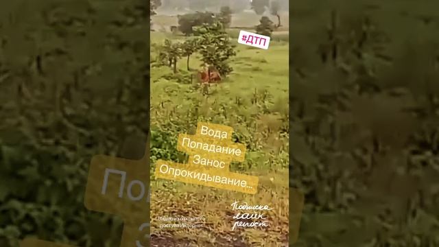#дтп