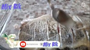 Запечённый Лещ в духовке / Лещ Запечённый в фольге/ Лещ с картофелем