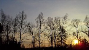 Апрельский вечер.Пение птиц на даче