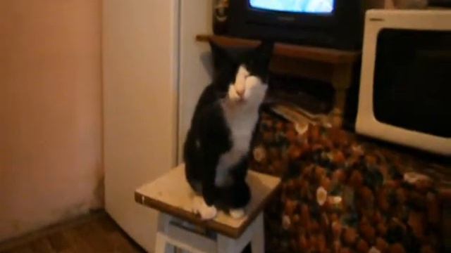 ЧИХ смотреть онлайн